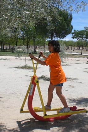 dia en aula naturaleza (10)