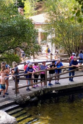 Convivencia_2024 (12)